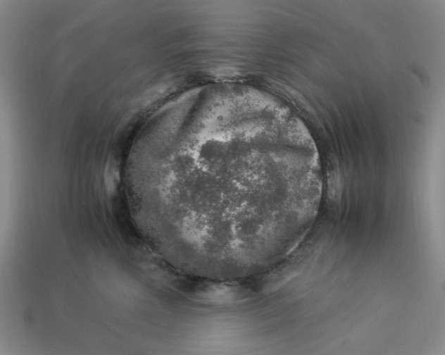 X0000113310618200910051105