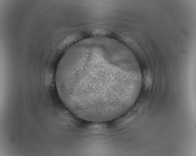 X0000113310619200910051105