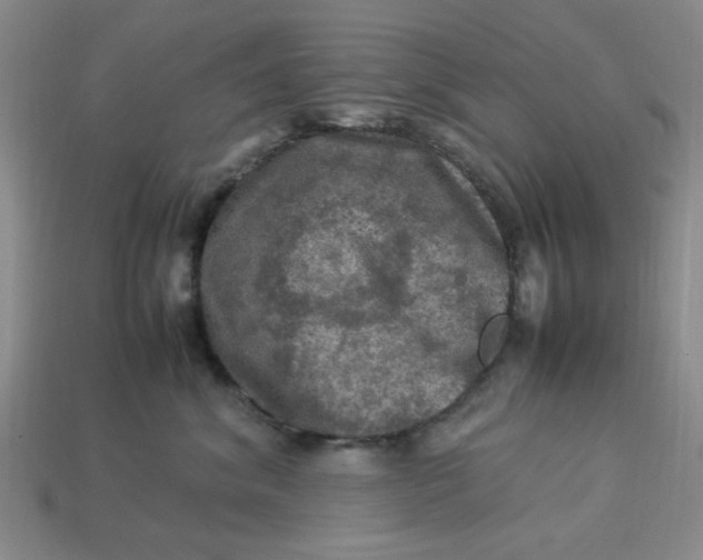 X0000113310620200910051105