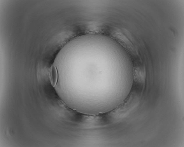 X0000113310621200910051105