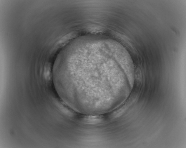 X0000113310622200910051105