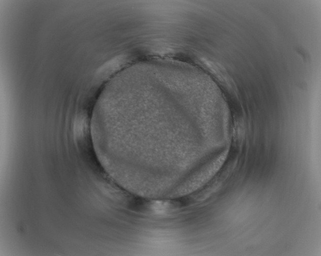 X0000113310623200910051105