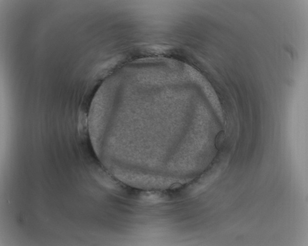 X0000113310624200910051105