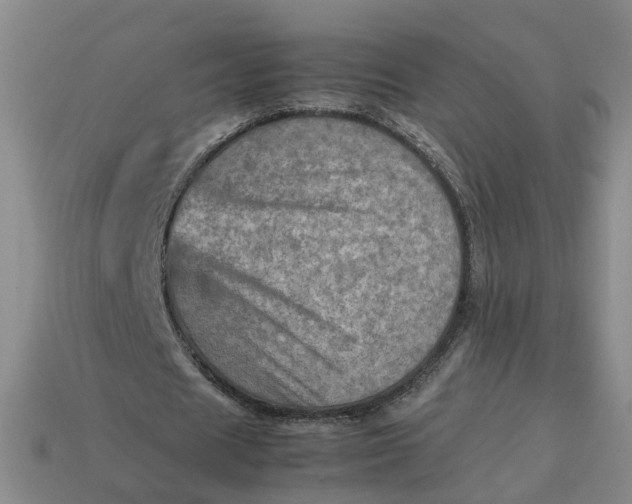 X0000113310625200910051105