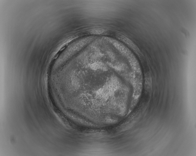 X0000113310626200910051105