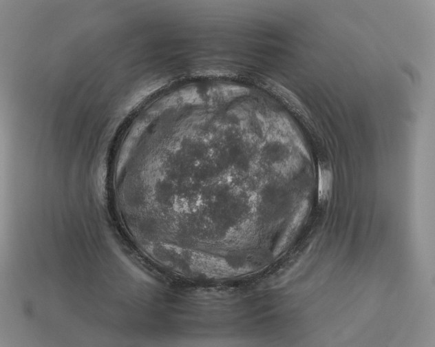 X0000113310627200910051105