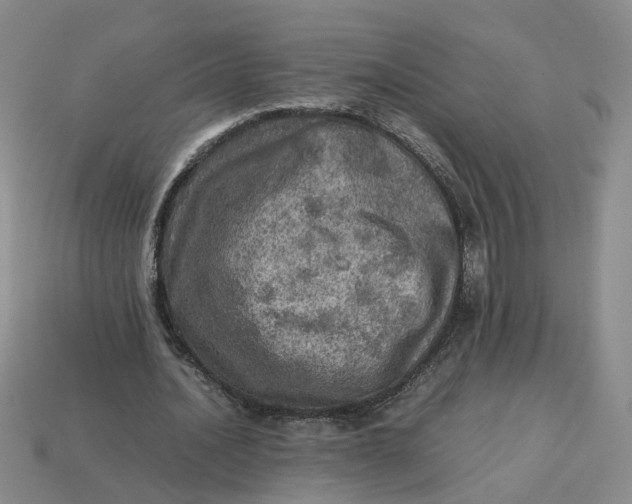 X0000113310628200910051105