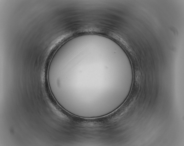 X0000113310629200910051105