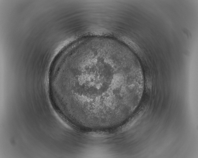 X0000113310630200910051105