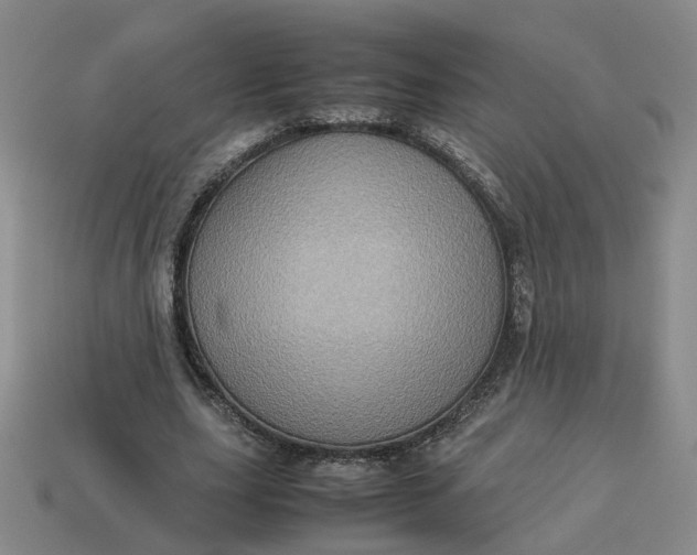 X0000113310631200910051105