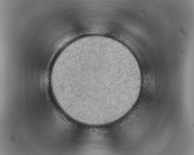 X0000113310632200910051105