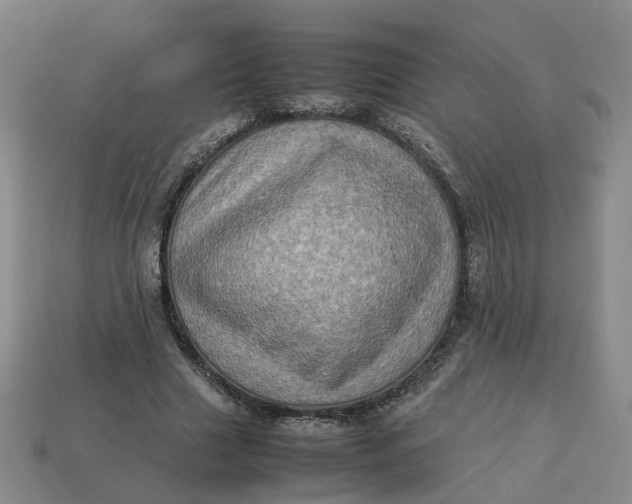 X0000113310633200910051105