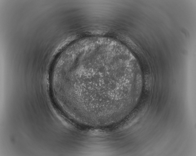 X0000113310634200910051105