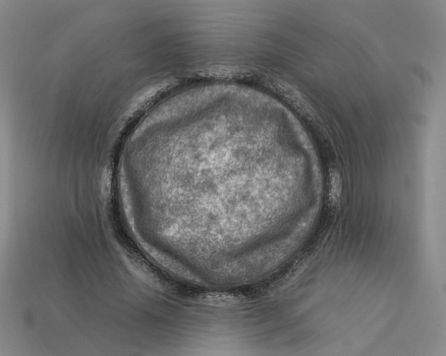 X0000113310636200910051105