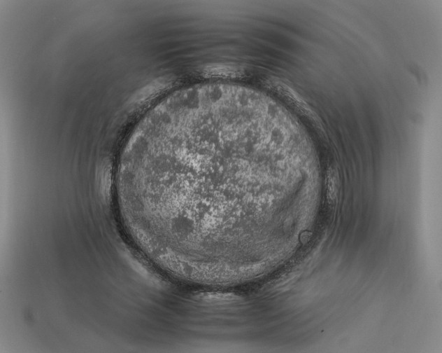 X0000113310637200910051105