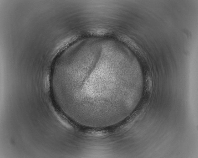 X0000113310638200910051105