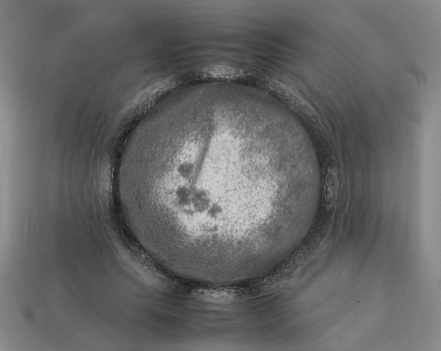 X0000113310639200910051105