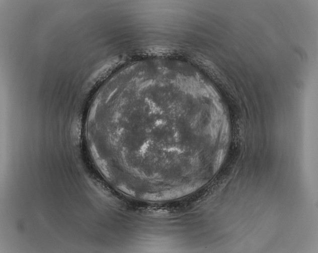 X0000113310640200910051105