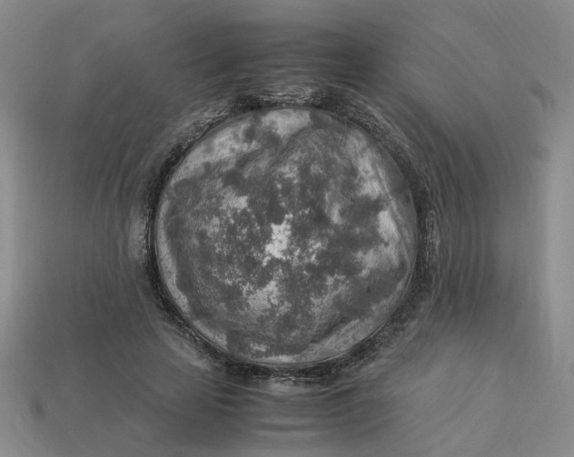 X0000113310641200910051105