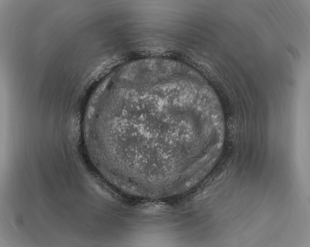 X0000113310642200910051105