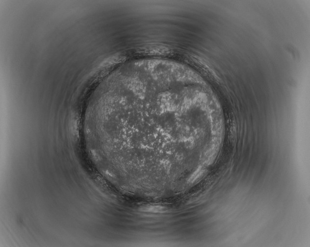 X0000113310643200910051105