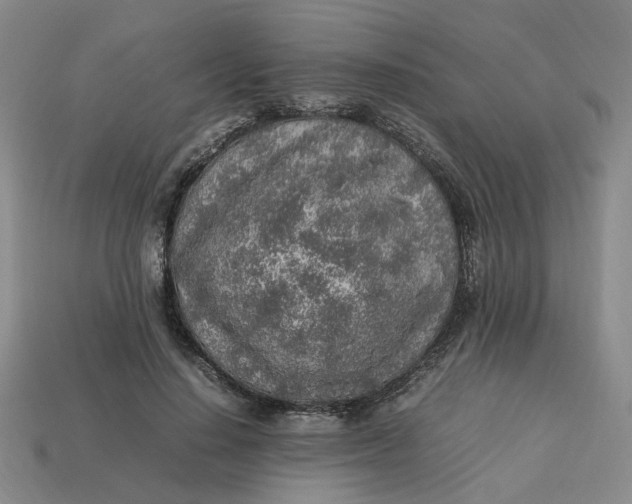 X0000113310644200910051105