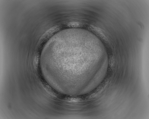 X0000113310645200910051105