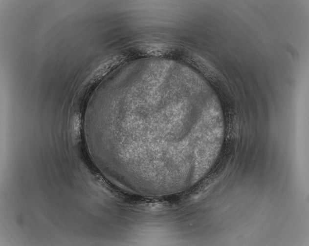 X0000113310646200910051105