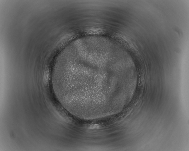 X0000113310647200910051105