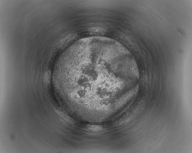 X0000113310649200910051105