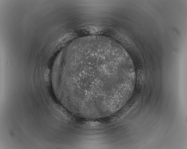 X0000113310650200910051105