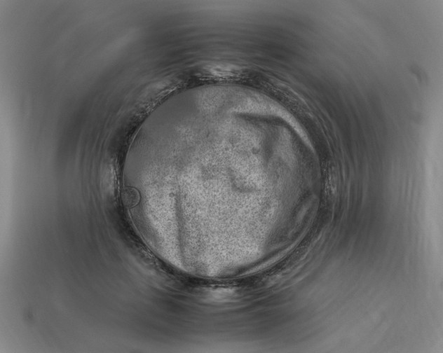 X0000113310651200910051105