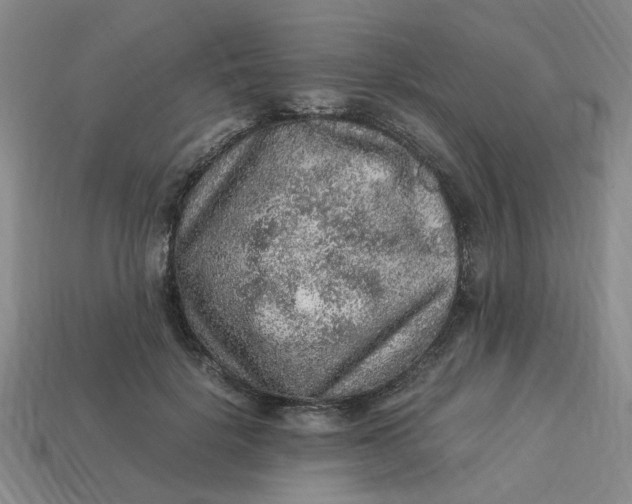 X0000113310652200910051105