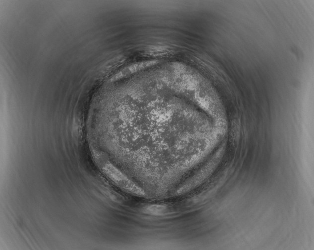 X0000113310653200910051105