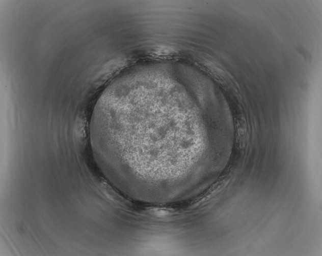 X0000113310654200910051105