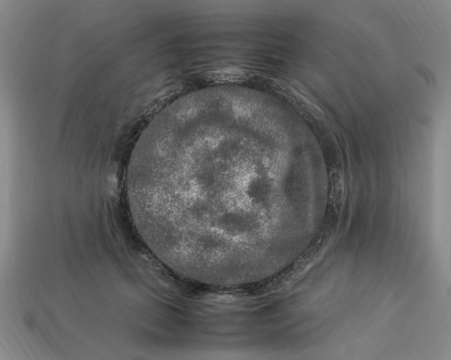 X0000113310655200910051105