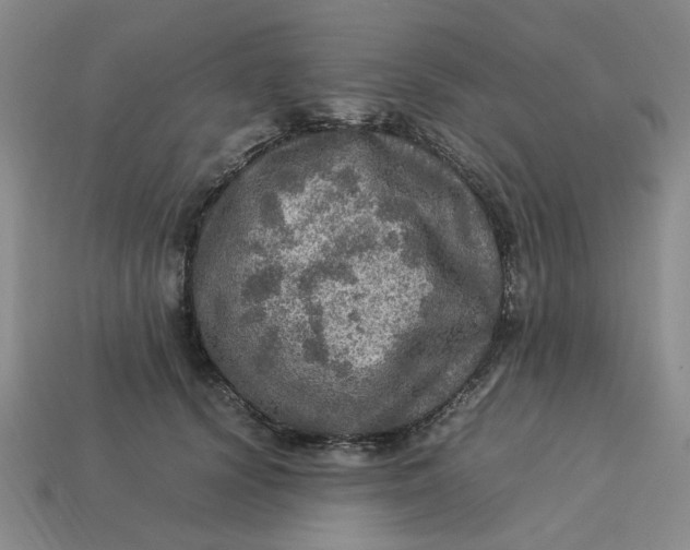 X0000113310656200910051105