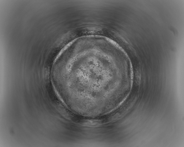 X0000113310657200910051105