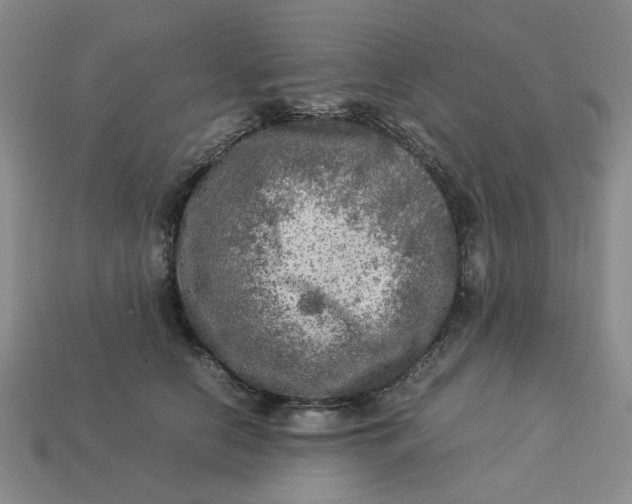 X0000113310658200910051105