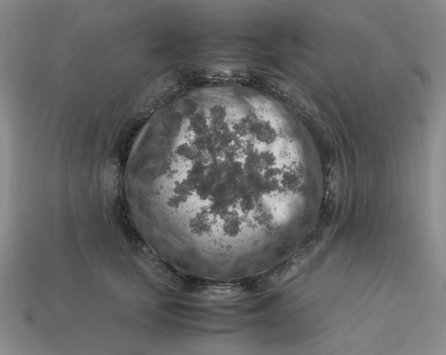 X0000113310659200910051105