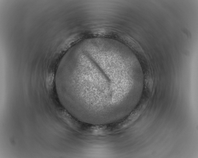 X0000113310660200910051105