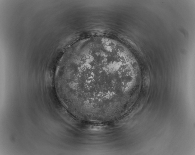 X0000113310661200910051105