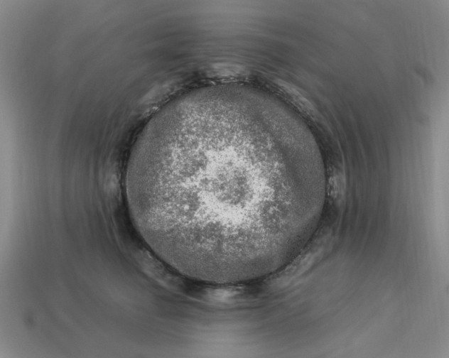 X0000113310662200910051105