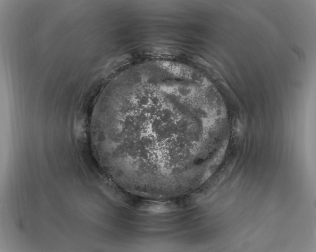 X0000113310663200910051105