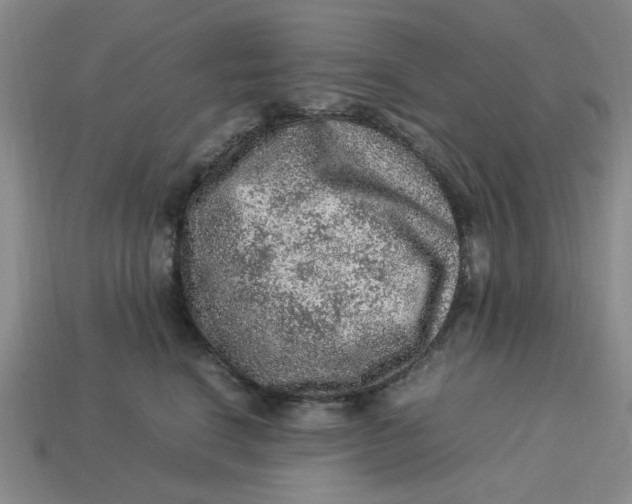 X0000113310664200910051105