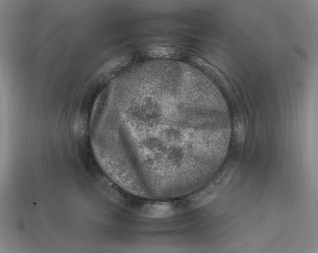 X0000113310665200910051105