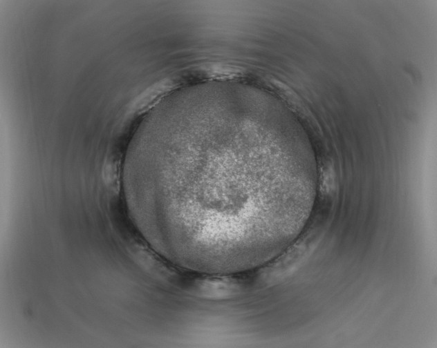 X0000113310666200910051105