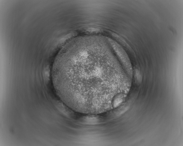 X0000113310668200910051105