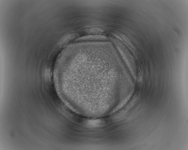 X0000113310669200910051105