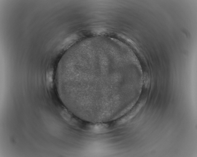 X0000113310670200910051105